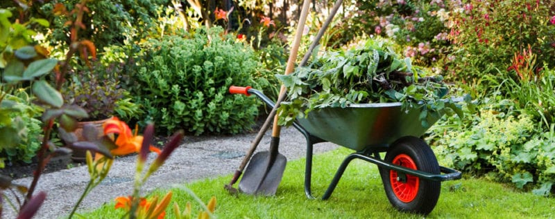 Tuinontwerp en aanleg in Diepenveen op maat van uw tuin